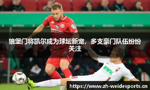韦德体育