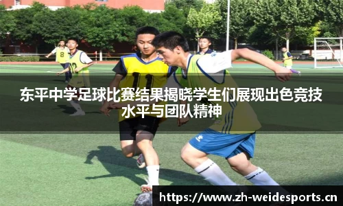 韦德体育