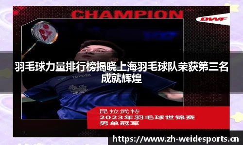 羽毛球力量排行榜揭晓上海羽毛球队荣获第三名成就辉煌